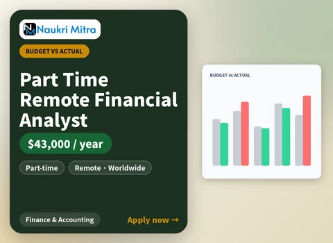 Part Time Remote Financial Analyst